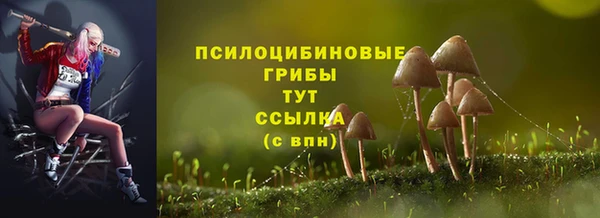 прущий лед Алексин
