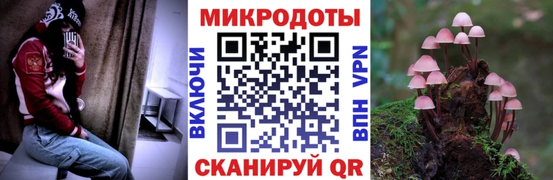 MEGA онион  Лабинск  Галлюциногенные грибы Psilocybe  цена  